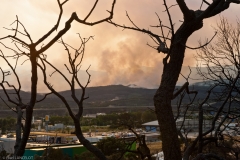 Campagne devastee par les incendies dans la zone de La Jonquera alors que le feu a detruit 14000 hectares et fait 4 victimes. La Jonquera, Espagne - 23/07/2012.